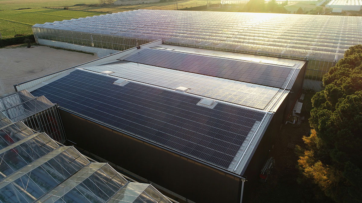 Serre agricole – Provence