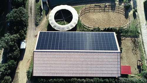 Hangar agricole – Avignon